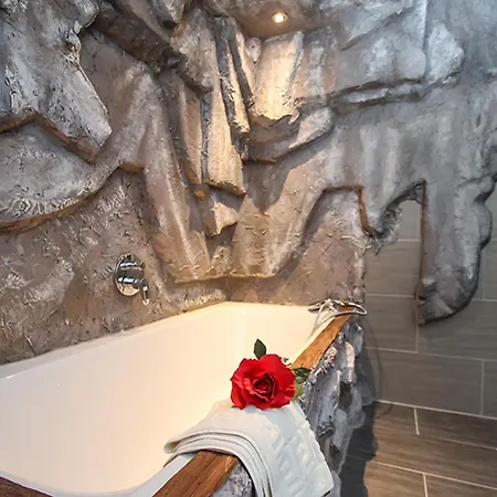 Gasthuis Alpengasthof Oberweissbach 3*