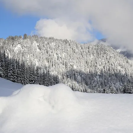 게스트하우스 Alpengasthof Oberweissbach 웨이드링