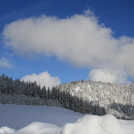 Alpengasthof Oberweissbach 웨이드링